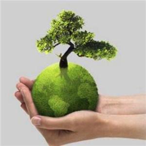 Plastic limitat timp de 10 ani, probleme vechi încă există, noul format a adus noi provocări -- comandați mâncare la pachet ecologică