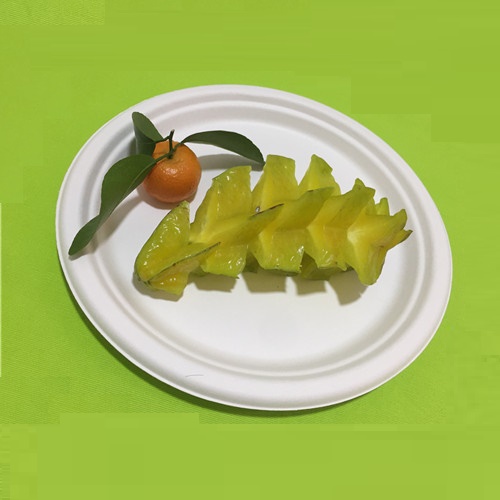 Veselă ecologică
