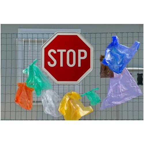 China va interzice și restricționează utilizarea plasticului de unică folosință