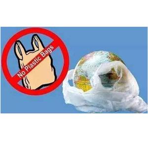 Hainan va interzice pungile de plastic de unică folosință și vesela până în 2020