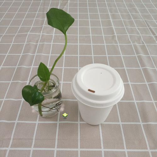 cană și capac cu pulpă de trestie de zahăr biodegradabile