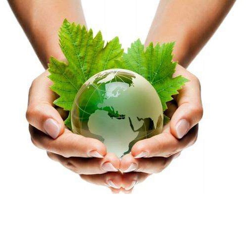 Țările de Jos vor interzice unele produse din plastic de unică folosință din iulie 2021