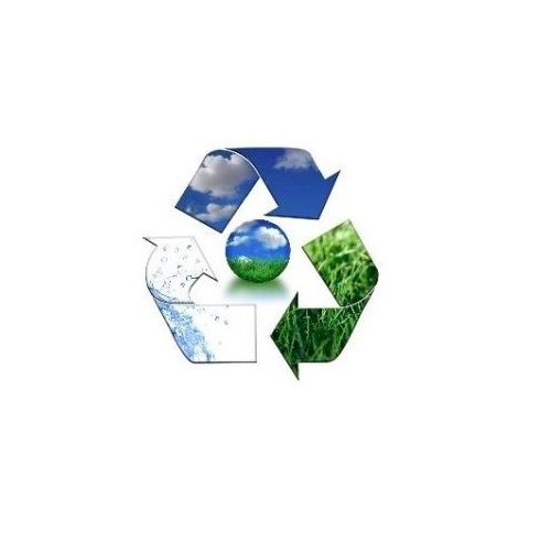 Queensland interzice paiele și farfuriile de plastic de unică folosință în încercarea de a salva viața marine