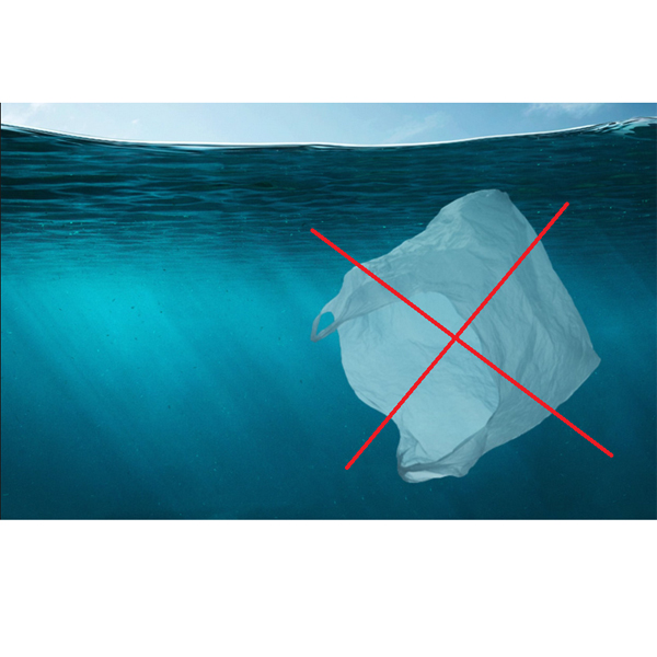 Coreea de Sud interzice pungile de plastic de unică folosință